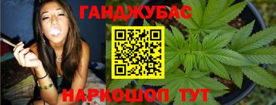 сатива Кинель