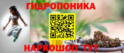 сатива Кинель