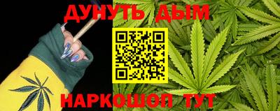 2c-b Кингисепп