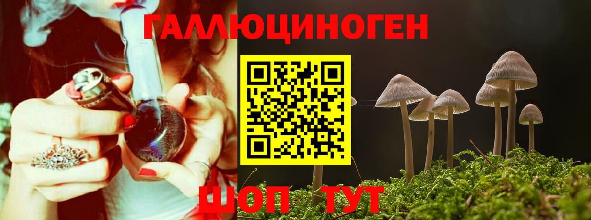 Клинцы  Галлюциногенные грибы Magic Shrooms  Вход с VPN 