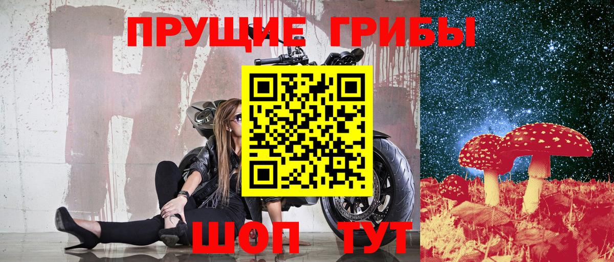 Псилоцибиновые грибы Psilocybe Клинцы